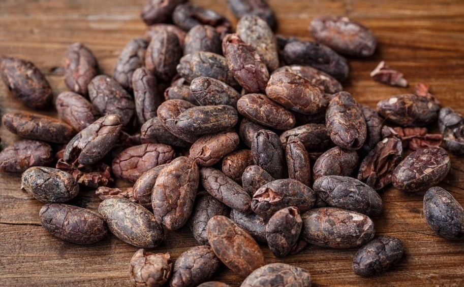 bacche-di-cacao
